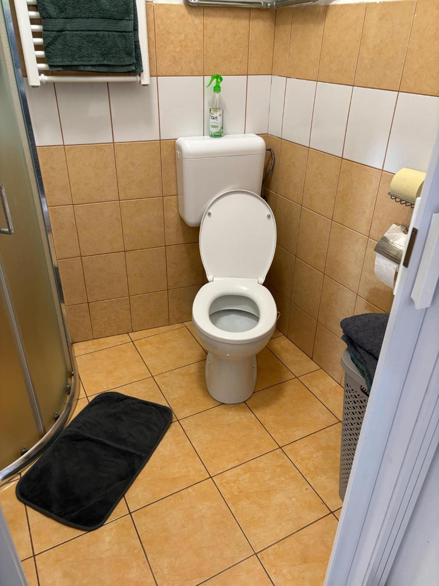 Mazli Vendeghaz Hotel Sátoraljaújhely Екстериор снимка